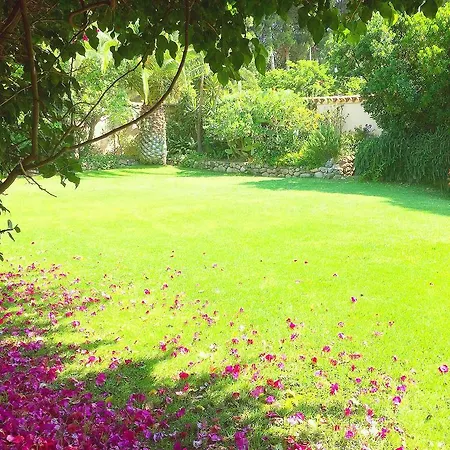 Villa Torre Delle Stelle Villa *